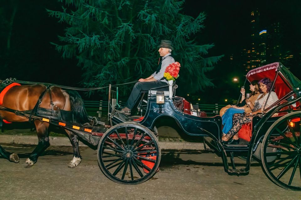 NYC MOONLIGHT HORSE CARRIAGE RIDE through Central Park - Sheep Meadow and the quieter park parts you can actually enjoy
