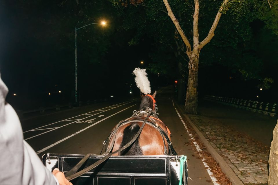 NYC MOONLIGHT HORSE CARRIAGE RIDE through Central Park - Cherry Hill and Bow Bridge: classic Central Park scenes at night