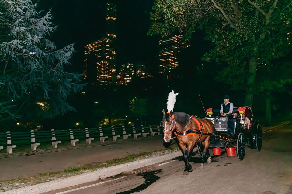 NYC MOONLIGHT HORSE CARRIAGE RIDE through Central Park - Price and value: what $190 per group really buys