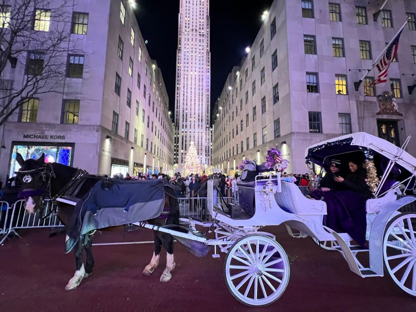 NYC: Private Central Park and NYC City Tour - Key details that shape your Central Park carriage ride