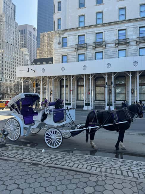 NYC: Private Central Park and NYC City Tour - Wollman Ice Skating Rink, Carousel, and Chess & Checkers House