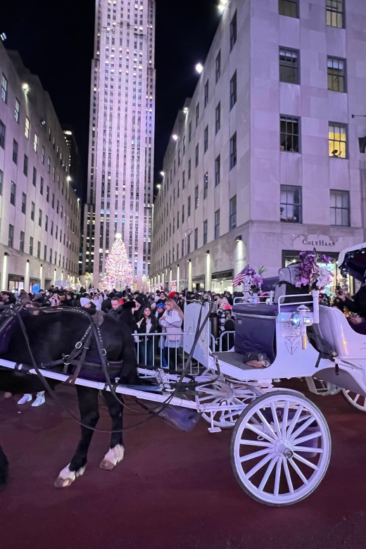 NYC: Private Central Park and NYC City Tour - The 1-hour private carriage loop: what the pacing really feels like