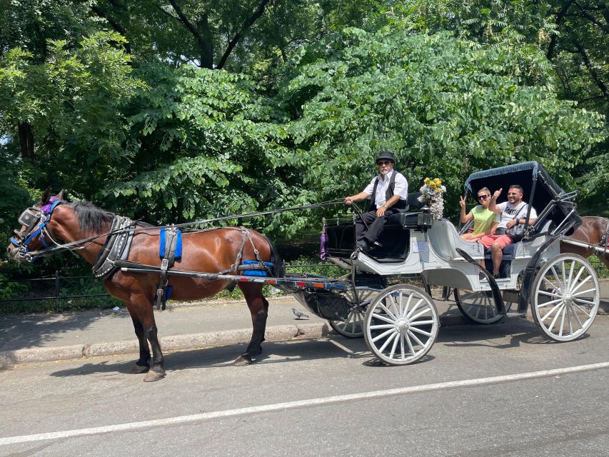 NYC Private Central Park Horse Carriage Ride with Guide - Should you book? My practical take