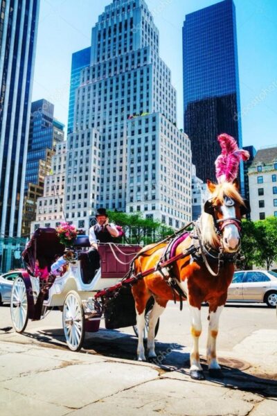 NYC: Private Central Park Horse Carriage Ride with Guide - Choosing the right ride: Central Park highlights or a Fifth Avenue lights loop