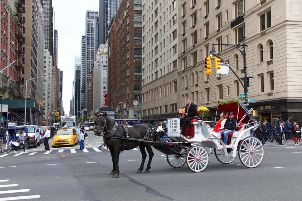 NYC Private Central Park Horse Carriage Ride with Guide - Value for money: $15 per group up to 4