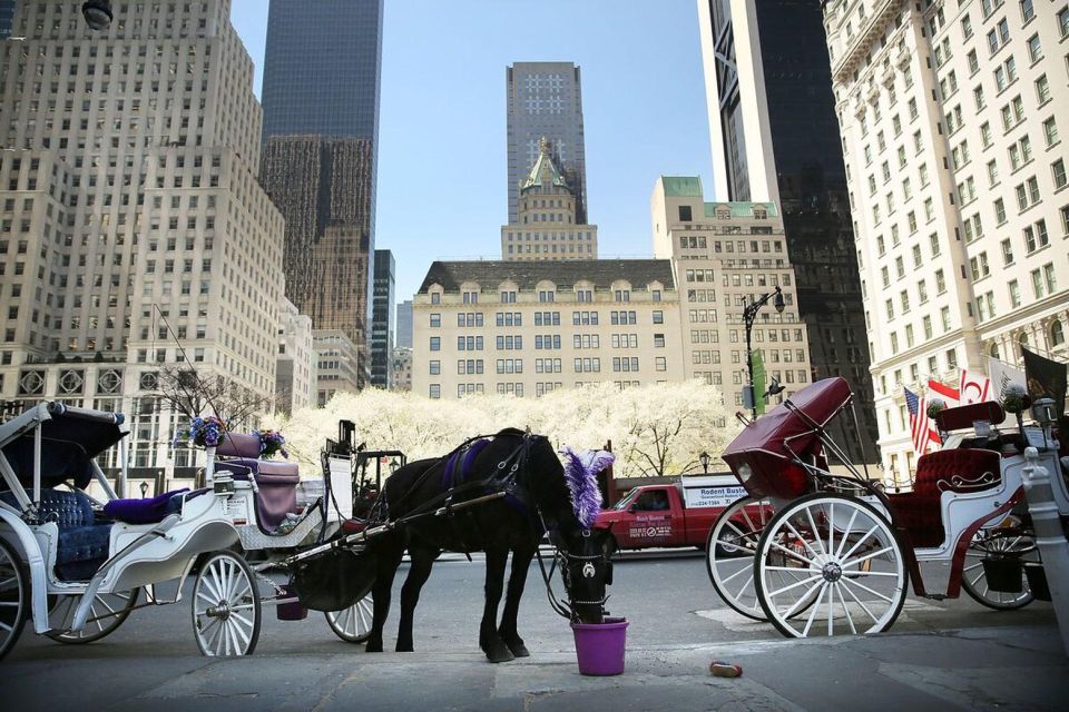 NYC Private Central Park Horse Carriage Ride with Guide - Customizable routes: useful when plans get complicated