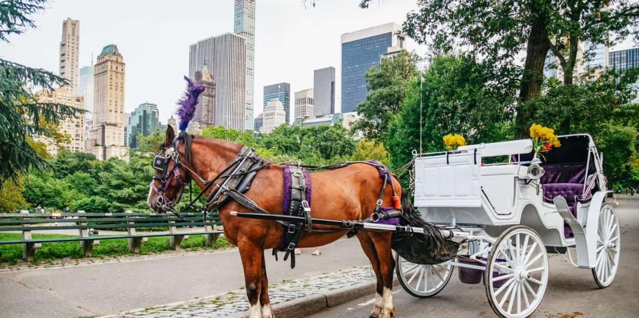 NYC: Private Christmas Lights Horse Carriage Ride - A 50-minute private ride of Midtown Christmas lights