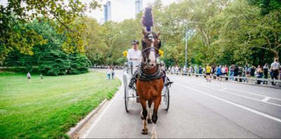 NYC: Private Christmas Lights Horse Carriage Ride - Central Park South start point and how boarding usually feels