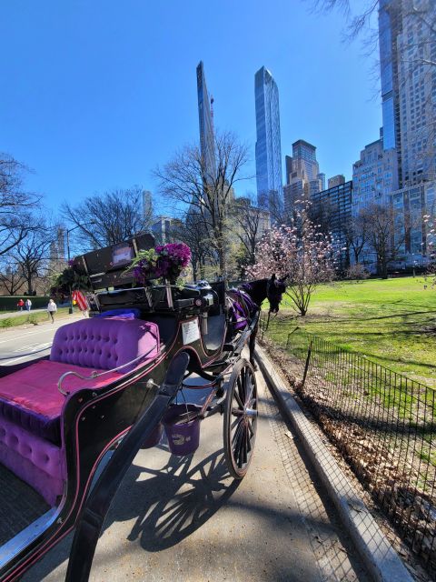 NYC: Private Christmas Lights Horse Carriage Ride - Price value: $19 per group up to four