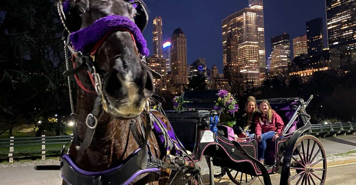 NYC: Private Christmas Lights Horse Carriage Ride - Best for couples, families, and first-time NYC holiday visitors