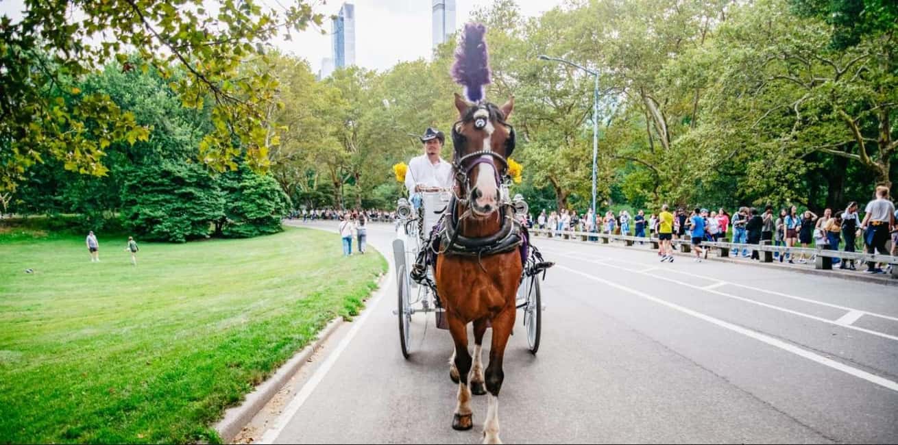 NYC: Private Christmas Lights Horse Carriage Ride - Central Park South start point and how boarding usually feels