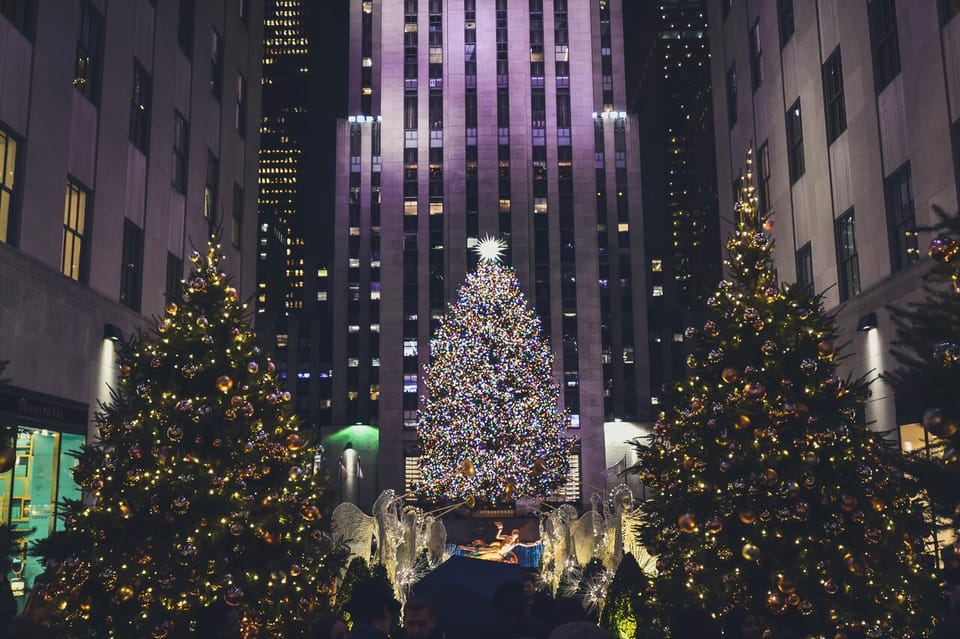 NYC: Private Dyker Heights and NYC Holiday Lights Tour - Key Things I’d Plan For