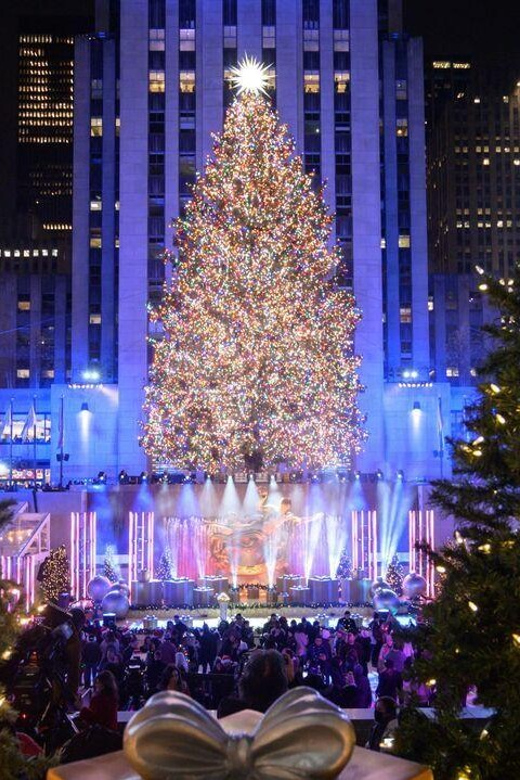 NYC: Private Dyker Heights and NYC Holiday Lights Tour - Ending at Rockefeller Center’s Christmas Tree
