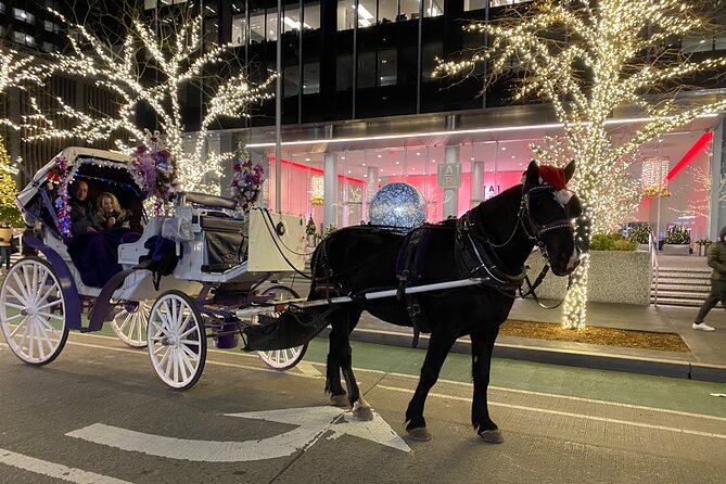 NYC Rockefeller Center Christmas Lights Horse Carriage Ride - Key points to know before you go