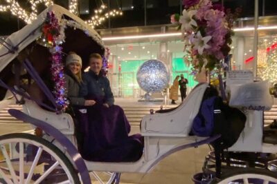 NYC Rockefeller Center Christmas Lights Horse Carriage Ride - Central Park South to Plaza Hotel: the first wave of light-filled icons