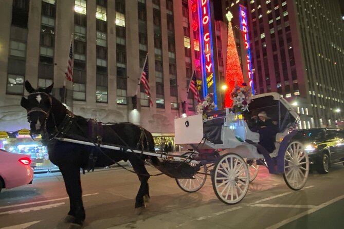 NYC Rockefeller Center Christmas Lights Horse Carriage Ride - Why this costs $292 per group (and when it feels like a smart deal)