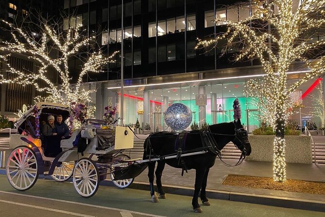 NYC Rockefeller Center Christmas Lights Horse Carriage Ride - Who this carriage ride fits best (and who might be happier elsewhere)