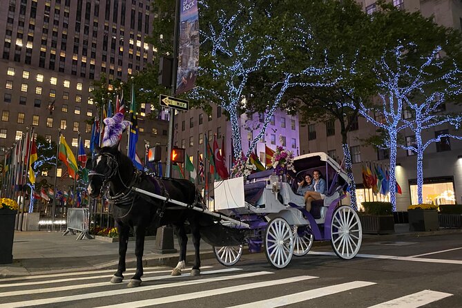 NYC Rockefeller Center Christmas Lights Horse Carriage Ride - Bottom line: should you book this Rockefeller Center carriage ride?