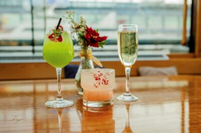 NYC: Sightseeing Holiday Cruise with Drink - Heated Salon vs Open Deck: Choose Your View Mode