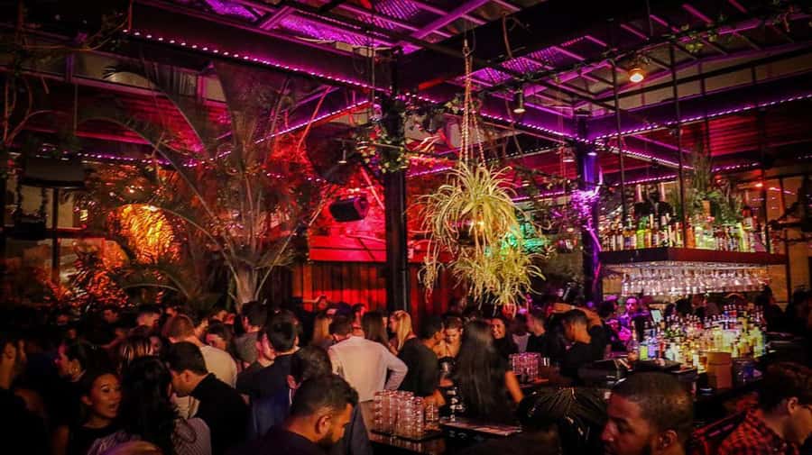 NYC West Village Pub Crawl Experience - Price and Value: Is $20 Worth It?