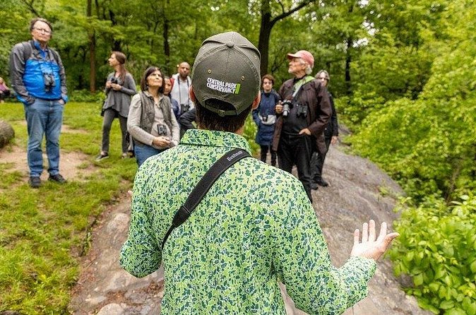 Official Central Park Walking Tour - Pinebank Arch and the cast-iron detail you can actually spot