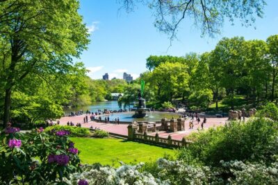 Official Central Park Walking Tour - Greyshot Arch: a quick bridge lesson that makes the Park make sense