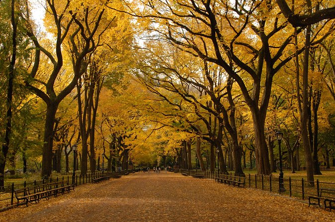 Official Central Park Walking Tour - Heckscher Ballfields: how play spaces became part of the Park’s original plan