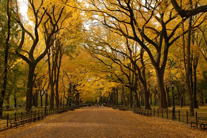 Official Central Park Walking Tour - The design story: turning rocky and swampy land into a Park people adore