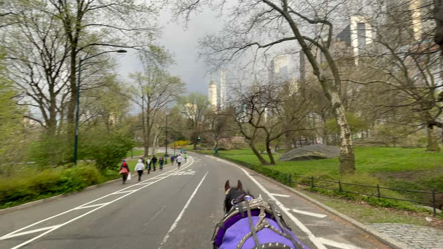 Official Exclusive VIP Horse Carriage Ride in Central Park - Key things that make this VIP carriage ride worth your time
