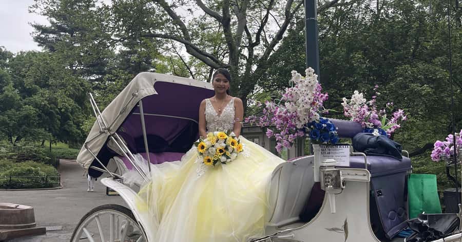 Official Exclusive VIP Horse Carriage Ride in Central Park - Why this VIP Central Park horse carriage feels different