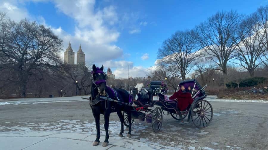 Official Exclusive VIP Horse Carriage Ride in Central Park - The route sweep: from Wollman Rink to the Boat Pond