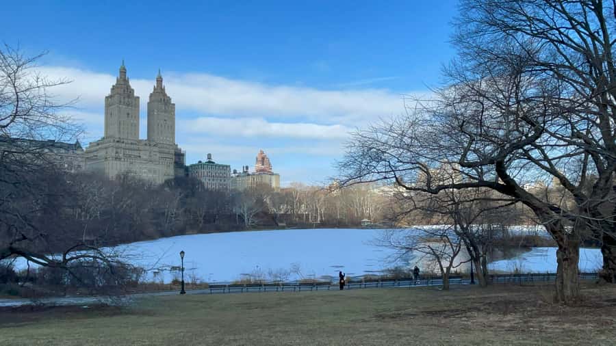 Official Exclusive VIP Horse Carriage Ride in Central Park - Should you book this VIP horse carriage ride?