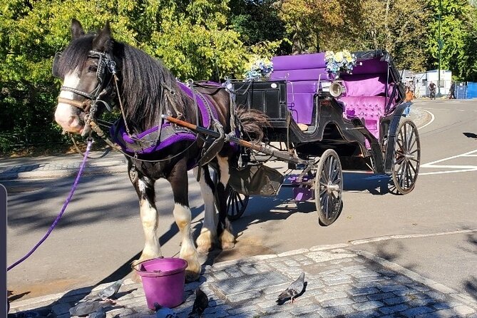 Official Private New York City Central Park Horse Carriage Ride Since 1965™ - Key Things to Know Before You Ride