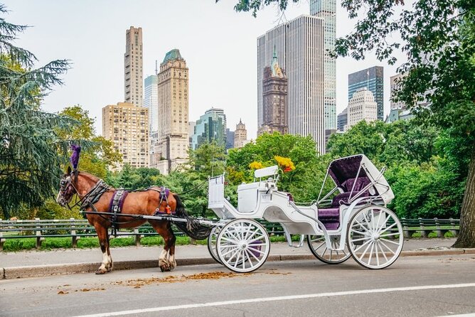 Official Private New York City Central Park Horse Carriage Ride Since 1965™ - Central Park by Horse, Privately, Without the Crowd