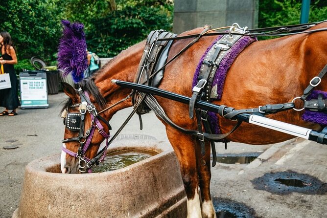 Official Private New York City Central Park Horse Carriage Ride Since 1965™ - Route Walkthrough: Carousel, Wollman Rink, and the Mall Under American Elms