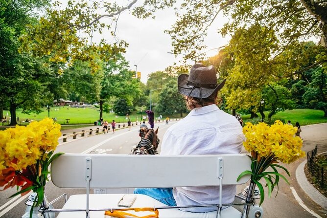 Official Private New York City Central Park Horse Carriage Ride Since 1965™ - Bethesda Fountain and Cherry Hill: Quick Walks, Big Landmarks