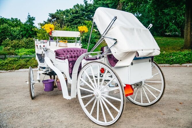 Official Private New York City Central Park Horse Carriage Ride Since 1965™ - Sheep Meadow, Pinebank Arch, and the Movie Spots in Central Park