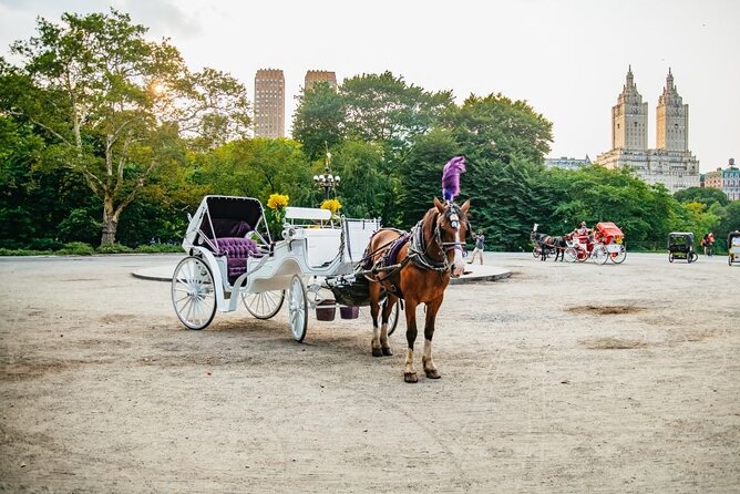 Official Private New York City Central Park Horse Carriage Ride Since 1965™ - Columbus Circle and Heckscher Playground for Kids at Heart