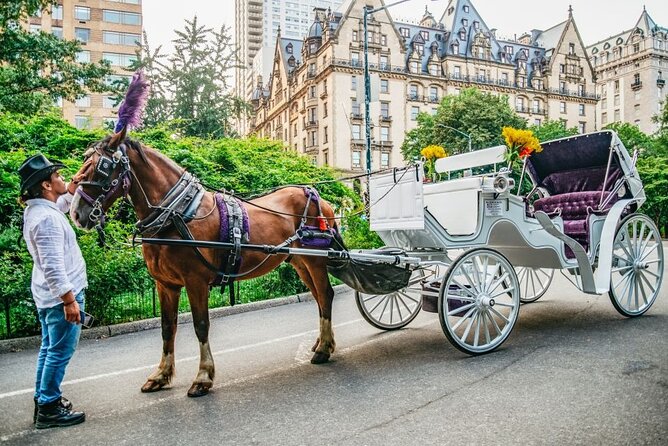 Official Private New York City Central Park Horse Carriage Ride Since 1965™ - Size Limits and What They Mean for Comfort