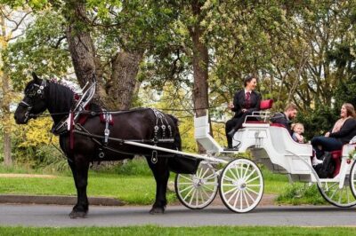 Official Private NYC Central Park Horse Carriage Ride Since 1970™ - Price and group size: $7.99 per group, not per person