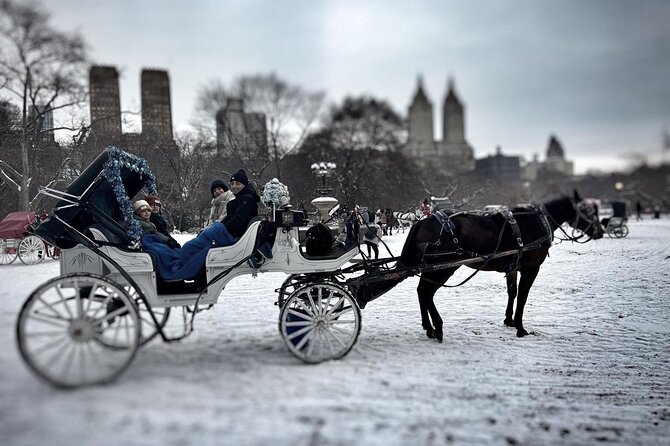 Official Private NYC CentralPark Horse Carriage Ride Since 1972 - Wollman Rink, Carousel, and the Dairy: the family-friendly opening