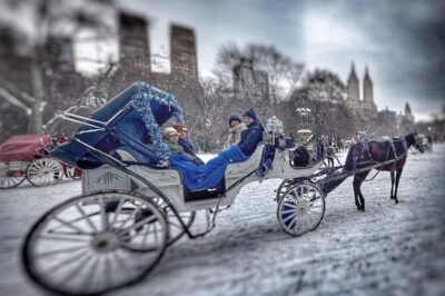 Official Private NYC CentralPark Horse Carriage Ride Since 1972 - Private carriage, English guide, and the pacing that makes it worth it