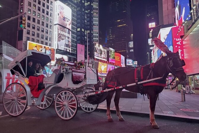 Official Private NYC CentralPark Horse Carriage Ride Since 1972 - Balto to Rumsey Playfield, then Cherry Hill for photos