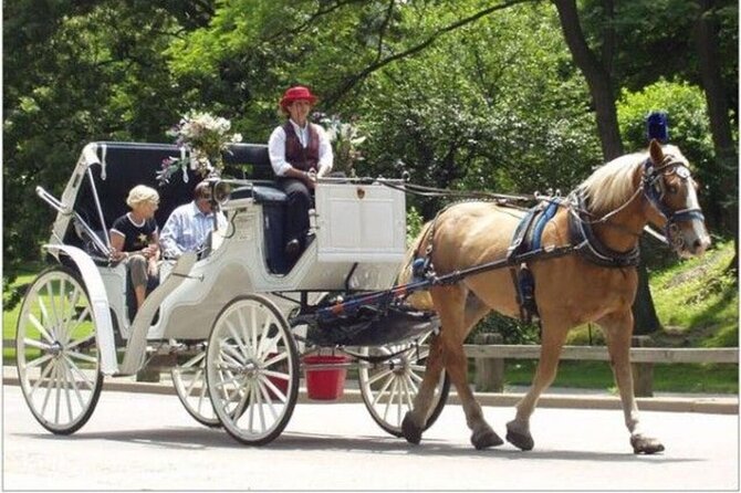 Official Private NYC CentralPark Horse Carriage Ride Since 1972 - Strawberry Fields and The Dakota: iconic sights without the footwork