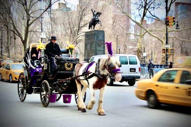 Official Private NYC CentralPark Horse Carriage Ride Since 1972 - Blanket, comfort, and what to wear in Central Park
