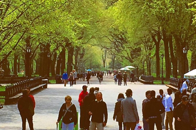 Pedicab Guided Tour of Central Park - Price value: per group, no hotel pickup, and what you’re really paying for