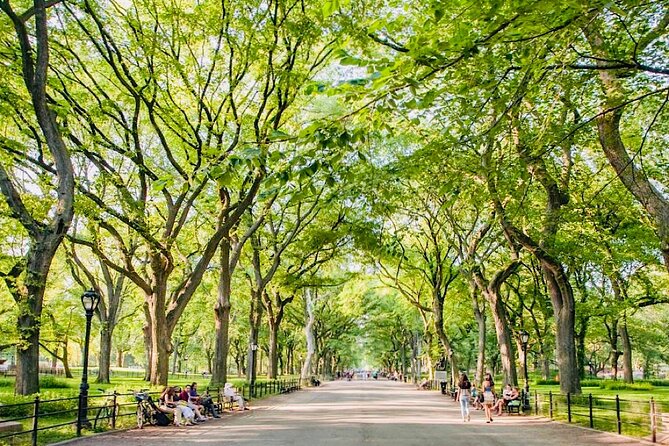 Pedicab Tours Central Park - Bow Bridge, Cherry Hill Fountain, and the Lake View