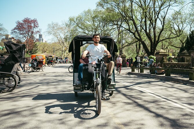 Private Central Park Guided Pedicab Tour - Bow Bridge and Cherry Hill Plaza: classic looks, easy pacing