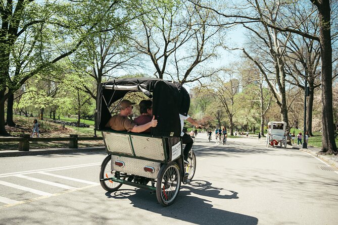 Private Central Park Guided Pedicab Tour - Conservatory Garden: quieter, structured, and a breather