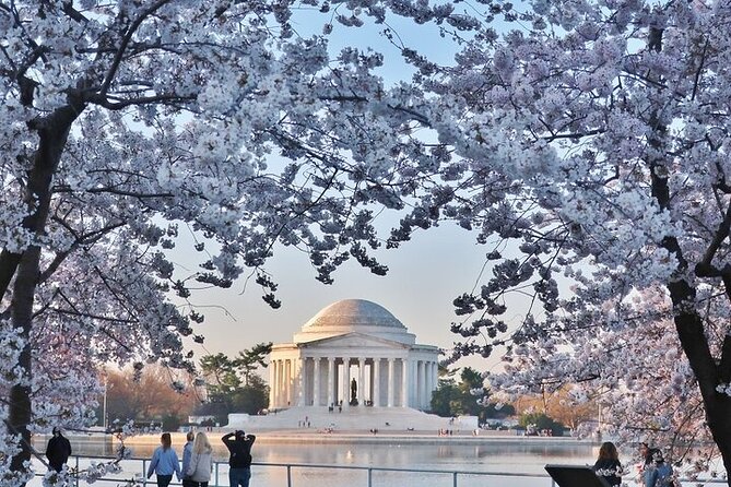 Private Full Day Washington DC Tour from New York City - Comfort and timing: pickup, ride day, and what the route really means